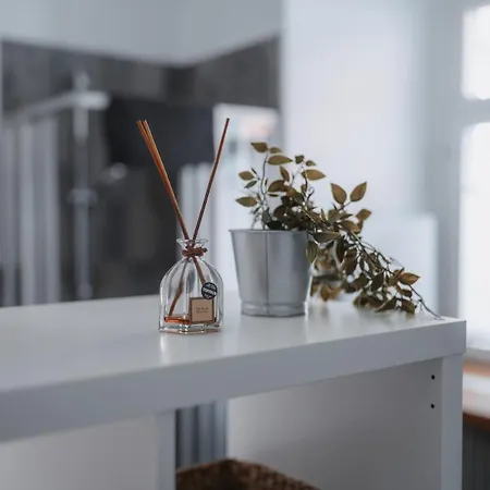 Apartamento Historische, Moderne Stadtwohnung Riedlingen